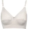 BH utan bygel - Powder